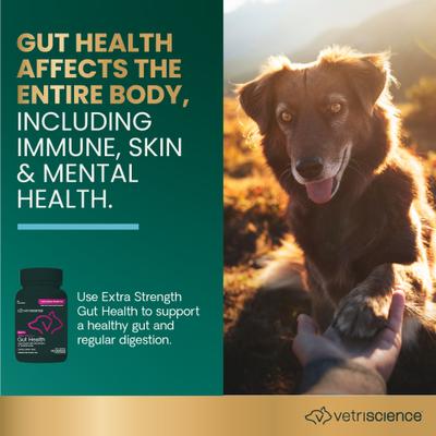 Show full view: VetriScience Extra Strength Gut Mega Probiotic & Prebiotic Health Easy-Open Capsules Digestive Supplement for Dogs & Cats, 240 count slide 4 of 12