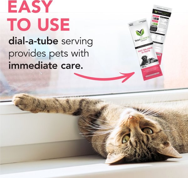 VETRISCIENCE Fast Balance G.I. Paste Medication for Digestive Issues ... - Giving Medication To Cats With Digestive Issues