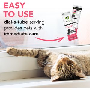 VetriScience Fast Balance G.I. Paste Medication for Digestive Issues for Cats & Dogs, 35-cc