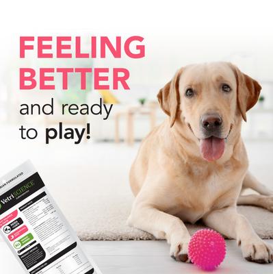 Show full view: VetriScience Fast Balance G.I. Paste Medication for Digestive Issues for Cats & Dogs, 35-cc slide 7 of 10