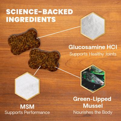 Show full view: VetriScience GlycoFlex 2 Healthy Hip & Joint Chicken-Flavored Chews with Glucosamine & Green-Lipped Mussel Supplement for Dogs, 120 count slide 4 of 11