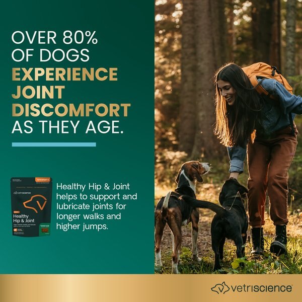 VetriScience GlycoFlex 2 Healthy Hip & Joint Chicken-Flavored Chews with Glucosamine & Green-Lipped Mussel Supplement for Dogs
