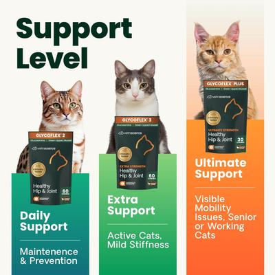 Show full view: VetriScience GlycoFlex 3 Extra Strength Healthy Hip & Joint Chicken Flavored Chews with Glucosamine & Green-Lipped Mussel Supplement for Cats, 60 count slide 10 of 11