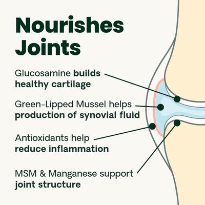 Show full view: VetriScience GlycoFlex 3 Extra Strength Healthy Hip & Joint Chicken Flavored Chews with Glucosamine & Green-Lipped Mussel Supplement for Cats, 60 count slide 5 of 11