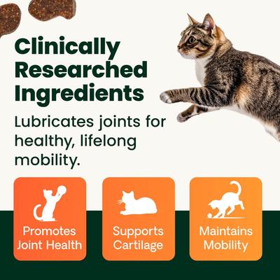 Show full view: VetriScience GlycoFlex 3 Extra Strength Healthy Hip & Joint Chicken Flavored Chews with Glucosamine & Green-Lipped Mussel Supplement for Cats, 60 count slide 3 of 11
