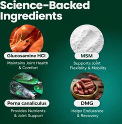 VetriScience GlycoFlex 3 Extra Strength Healthy Hip & Joint Chicken Flavored Chews with Glucosamine & Green-Lipped Mussel Supplement for Cats, 60 count slide 2 of 9