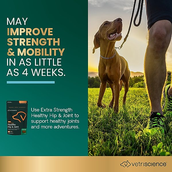 Show full view: VetriScience GlycoFlex 3 Extra Strength Healthy Hip & Joint Chicken-Flavored Chews with Glucosamine & Green-Lipped Mussel Supplement for Dogs, 120 count slide 2 of 9