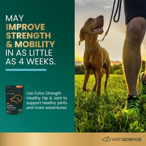 VetriScience GlycoFlex 3 Extra Strength Healthy Hip & Joint Chicken-Flavored Chews with Glucosamine & Green-Lipped Mussel Supplement for Dogs, 120 count