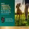 Show in main carousel: VetriScience GlycoFlex 3 Extra Strength Healthy Hip & Joint Chicken-Flavored Chews with Glucosamine & Green-Lipped Mussel Supplement for Dogs, 120 count slide 3 of 10