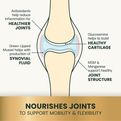 VetriScience GlycoFlex 3 Extra Strength Healthy Hip & Joint Chicken-Flavored Chews with Glucosamine & Green-Lipped Mussel Supplement for Dogs