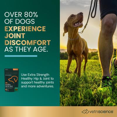 Show full view: VetriScience GlycoFlex 3 Extra Strength Healthy Hip & Joint Chicken-Flavored Chews with Glucosamine & Green-Lipped Mussel Supplement for Dogs, 240 count slide 4 of 11