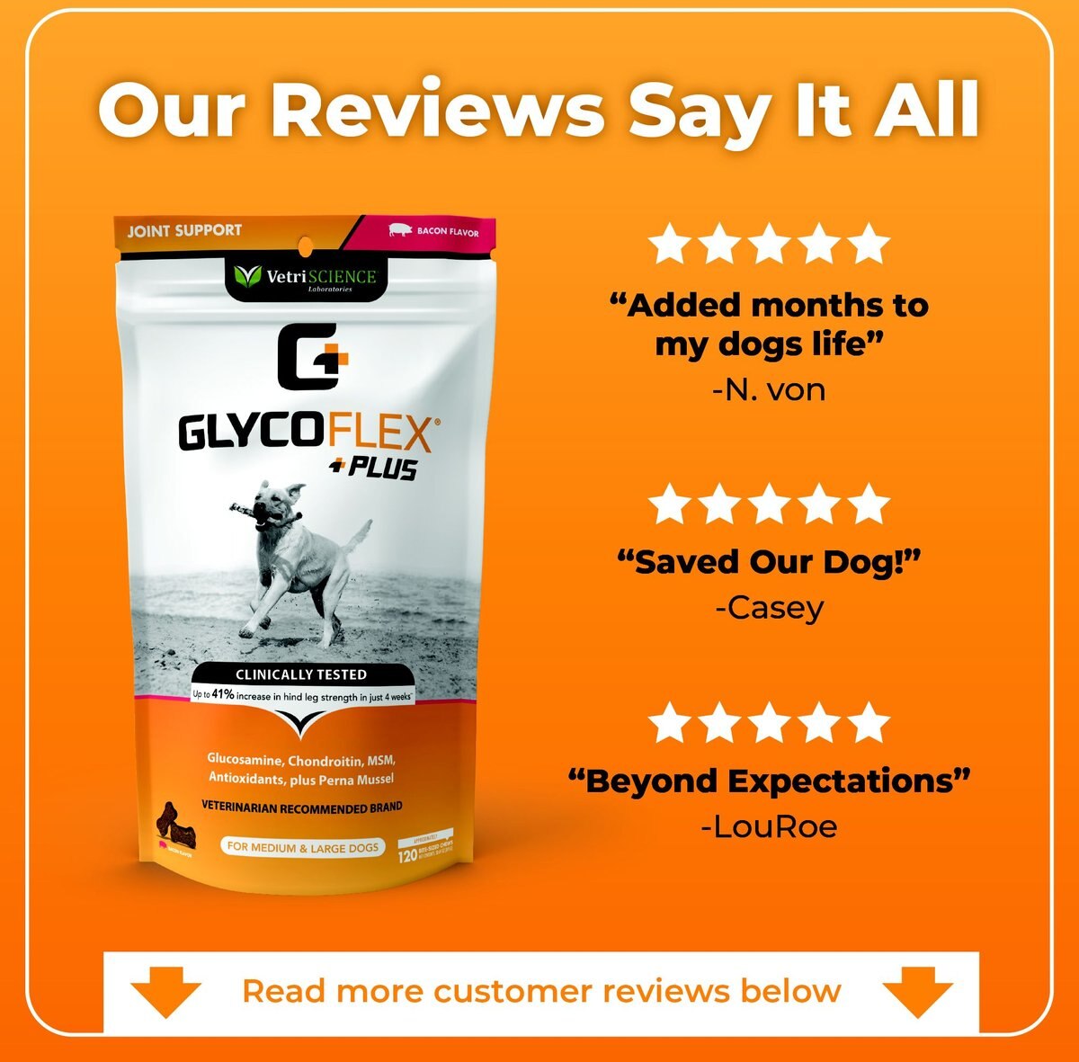 VetriScience GlycoFlex Plus Bacon Flavored Chews Joint Supplement for Medium & Large Dogs