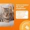 Show in main carousel: VetriScience GlycoFlex Plus Chicken Flavored Chew Joint Supplement for Cats, 30 count slide 4 of 8