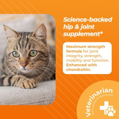 Show full view: VetriScience GlycoFlex Plus Chicken Flavored Chew Joint Supplement for Cats, 30 count slide 4 of 8