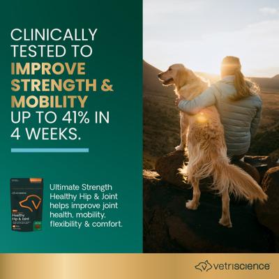 Show full view: VetriScience GlycoFlex Plus Ultimate Strength Healthy Hip & Joint Duck-Flavored Chews with Glucosamine & Chondroitin Supplement for Dogs, 60 count slide 3 of 11