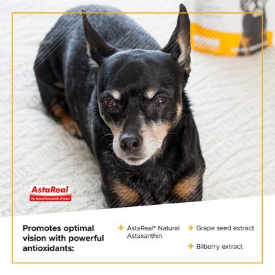 Show full view: VetriScience Golden Years Chicken Flavor Clear & Bright Chew Supplement for Dogs, 60 count slide 5 of 8