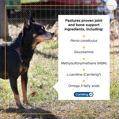 Show full view: VetriScience Golden Years Chicken Flavor Strength & Stability Joint Support Chew Supplement for Senior Dogs, 60 count slide 5 of 7