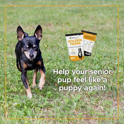 Show full view: VetriScience Golden Years Chicken Flavor Strength & Stability Joint Support Chew Supplement for Senior Dogs, 60 count slide 7 of 7