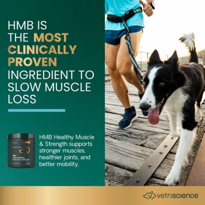 Show full view: VetriScience HMB Healthy Muscle & Strength Pork Flavored Granules for Dogs, 8.47-oz bag slide 3 of 11