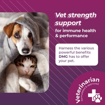 Show full view: VetriScience Vetri-DMG Liquid Immune Supplement for Dogs, Cats & Birds, 28-mL slide 3 of 9