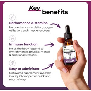 VetriScience Vetri-DMG Liquid Immune Supplement for Dogs, Cats & Birds, 28-mL