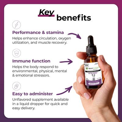 Show full view: VetriScience Vetri-DMG Liquid Immune Supplement for Dogs, Cats & Birds, 28-mL slide 4 of 9