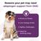 Show in main carousel: VetriScience Vetri-DMG Liquid Immune Supplement for Dogs, Cats & Birds, 28-mL slide 5 of 9
