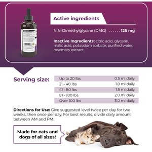 VetriScience Vetri-DMG Liquid Immune Supplement for Dogs, Cats & Birds, 28-mL