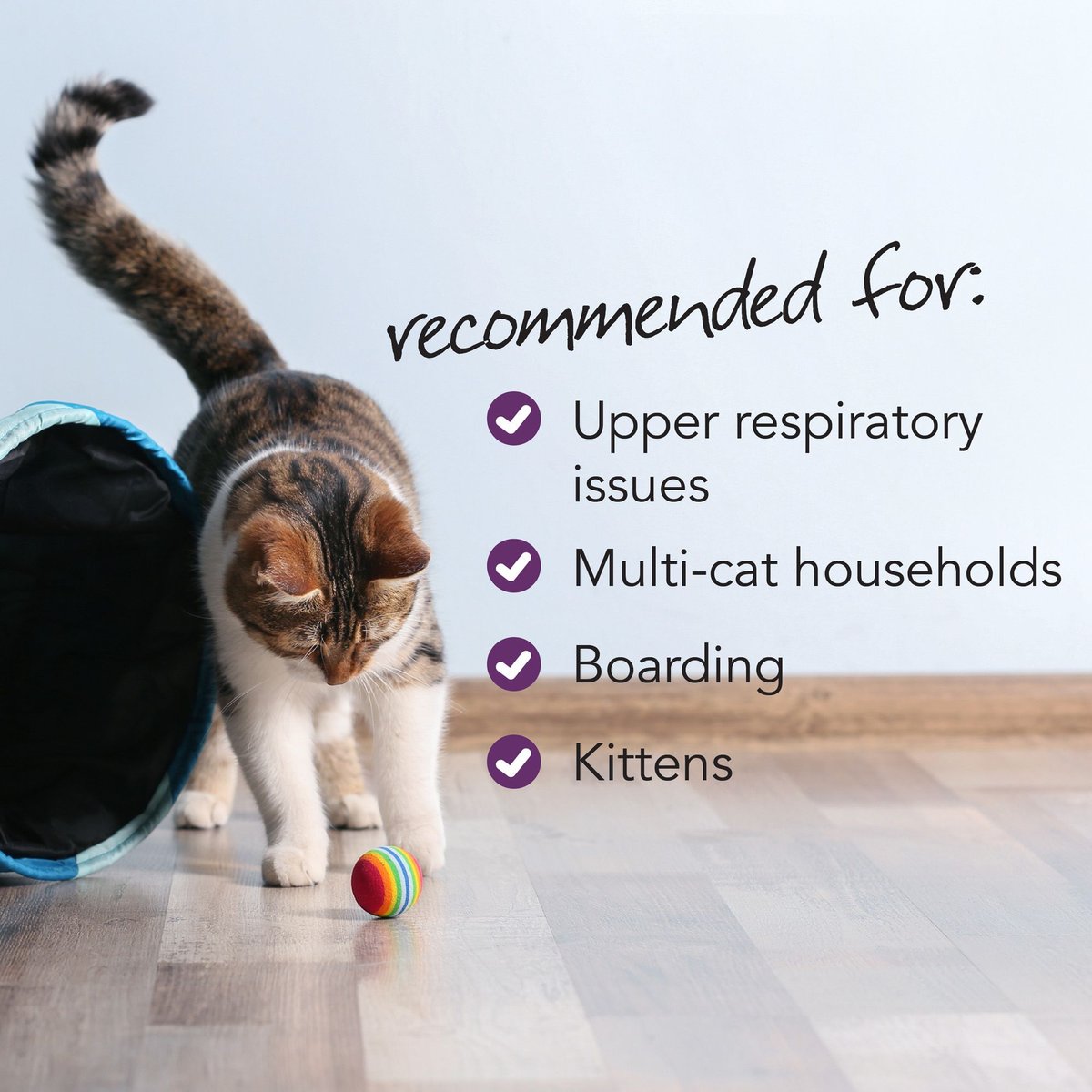 VetriScience Veterinary Strength DMG Immunity Health Chicken Flavored Supplement Chews for Cats & Dogs