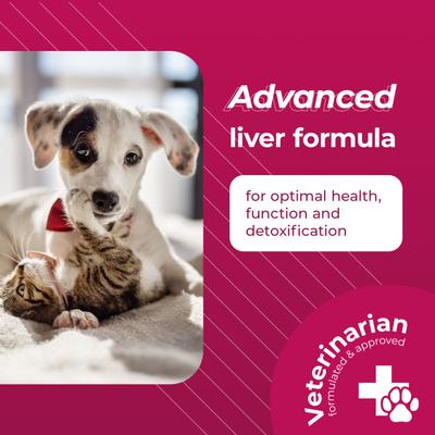 Show full view: VetriScience VETRI SAMe 90 Tablets Liver Supplement for Cats & Dogs, 30 count slide 3 of 8