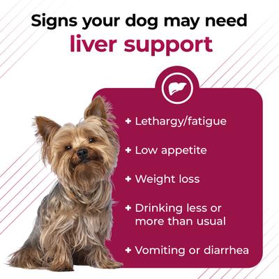 Show full view: VetriScience VETRI SAMe 90 Tablets Liver Supplement for Cats & Dogs, 30 count slide 5 of 8