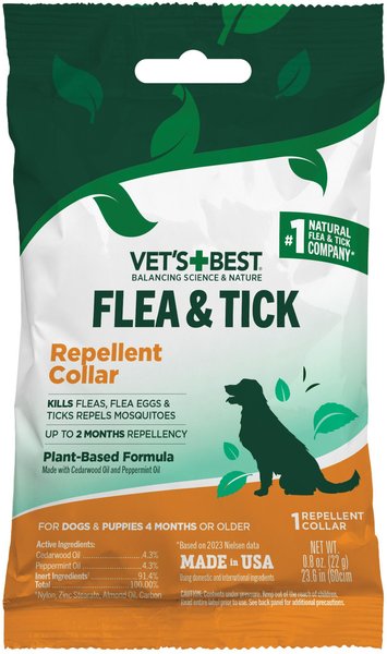 Flea Infestation Best Flea Collars For Dogs And Cats Out Of Stock