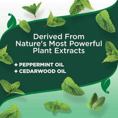 Show full view: Vet's Best 4 Month Natural Flea & Tick Collar for Dogs, 1 Collar (4-mos. supply) slide 5 of 11