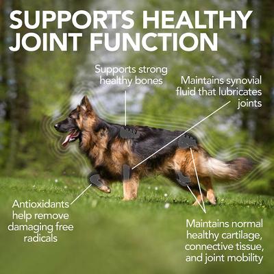 Show full view: Vet's Best Advanced Hip & Joint + Aches & Pains Dog Supplement slide 4 of 10