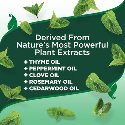 Show full view: Vet's Best Advanced Strength Flea & Tick Dog Shampoo, 12-fl oz bottle slide 5 of 11