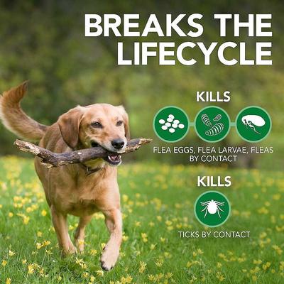 Show full view: Vet's Best Advanced Strength Flea & Tick Shampoo + Yard & Kennel Spray for Dogs slide 4 of 9