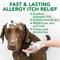 Show in main carousel: Vet's Best Allergy Itch Relief Shampoo for Dogs, 16-fl oz bottle slide 4 of 10