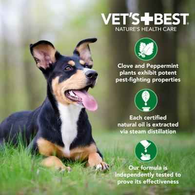 Show full view: Vet's Best Anti-Flea Easy Spray Natural Shampoo for Dogs, 16-fl oz bottle slide 7 of 11
