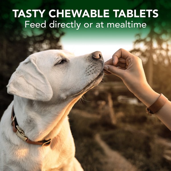 Show full view: Vet's Best Chewable Tablets Allergy Supplement for Dogs, 60 count slide 5 of 9