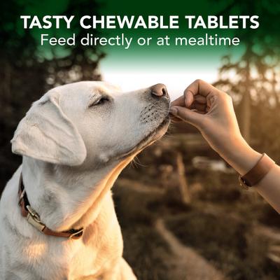 Show full view: Vet's Best Chewable Tablets Allergy Supplement for Dogs, 60 count slide 6 of 10