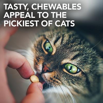 Show full view: Vet's Best Chewable Tablets Urinary Supplement for Cats, 60 count slide 8 of 11