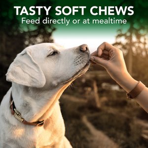 Vet's Best Chicken Flavored Soft Chews Allergy Supplement for Dogs, 30 count
