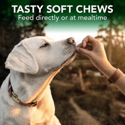 Show full view: Vet's Best Chicken Flavored Soft Chews Allergy Supplement for Dogs, 90 count slide 6 of 11