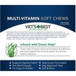 Show in main carousel: Vet's Best Chicken Flavored Soft Chews Multivitamin for Dogs, 30 count slide 7 of 11