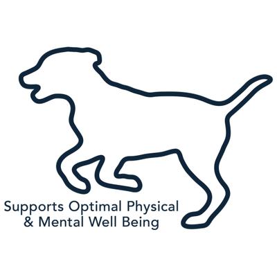 Show full view: Vet's Best Chicken Flavored Soft Chews Multivitamin for Dogs, 30 count slide 9 of 12