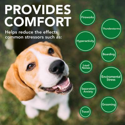 Show full view: Vet's Best Comfort Calm Chicken Flavored Soft Chews Calming Supplement for Dogs, 90 count slide 5 of 10