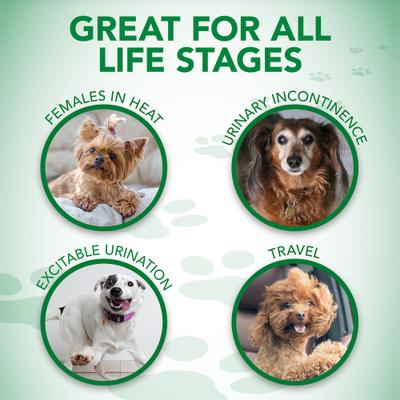 Show full view: Vet's Best Comfort-Fit Disposable Female Dog Diapers, Large/X-Large: 23.5 to 31.5-in waist, 12 count slide 9 of 11