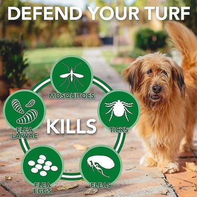 Show full view: Vet's Best Dog Flea + Tick Home Spray, 32-oz bottle + Onguard Flea & Tick Spot Treatment for Dogs, 5-22 lbs, 6 Doses (6-mos. supply) slide 4 of 8