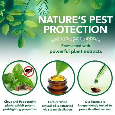 Show full view: Vet's Best Flea + Tick Home Spray + Seresto Flea & Tick Collar for Dogs, over 18-lbs slide 9 of 9