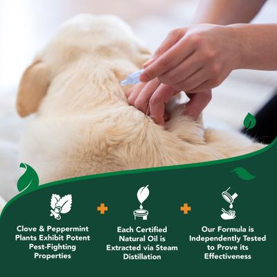 Show full view: Vet's Best Flea & Tick Spot Treatment for Dogs, Over 40 lbs, 4 Doses (4-mos. supply) slide 9 of 12